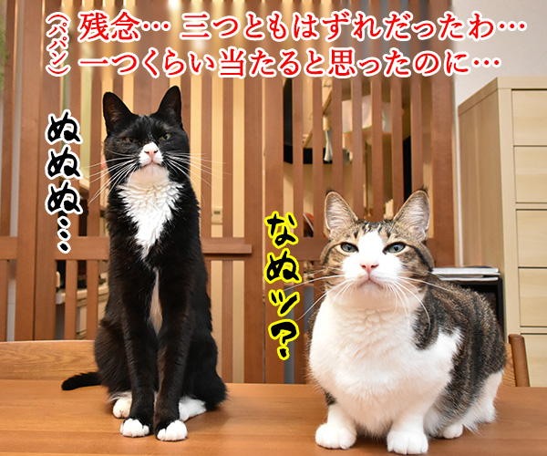 マルカワのマーブルガム 当たるのは誰かしら？　ねこの写真で４コマ漫画　３コマ目ッ