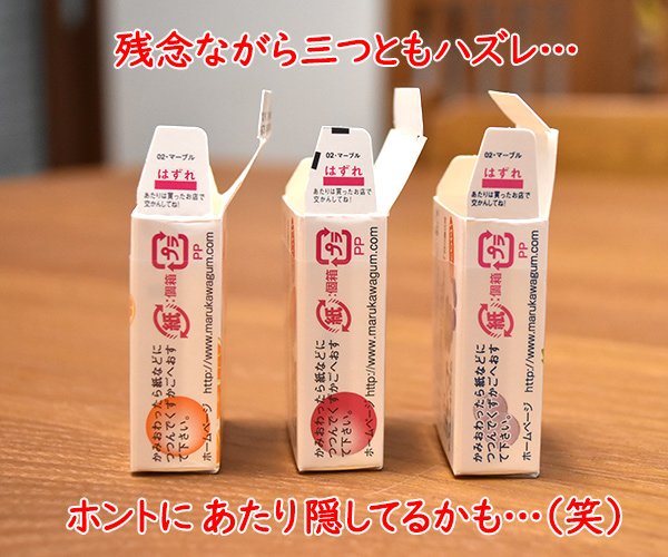 マルカワのマーブルガム 当たるのは誰かしら？　ねこの写真で４コマ漫画　６コマ目ッ