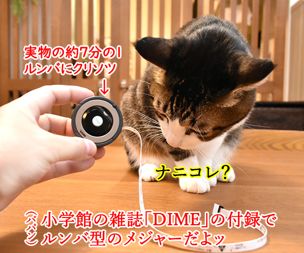 あのルンバがメジャーになっちゃった？