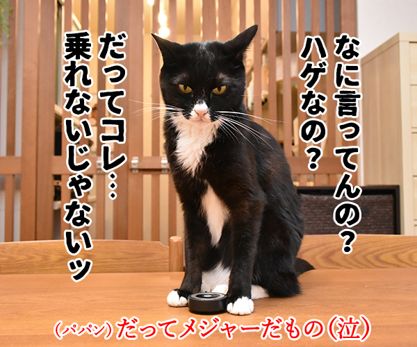 PETomorrowはオモローッ　ねこの写真で４コマ漫画　３コマ目ッ