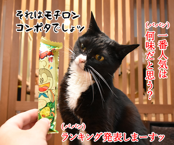 うまい棒はホントにうまいの? ねこの写真で4コマ漫画 5コマ目ッ