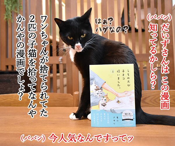 『うちの犬が子ネコ拾いました。』って漫画が人気なのよッ
