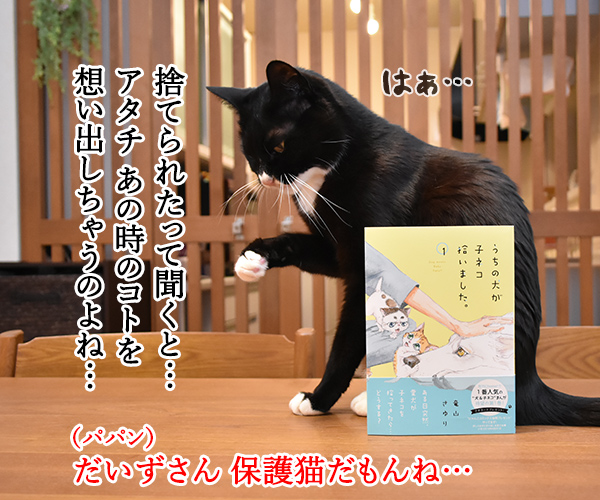 『うちの犬が子ネコ拾いました。』って漫画が人気なのよッ　ねこの写真で４コマ漫画　２コマ目ッ