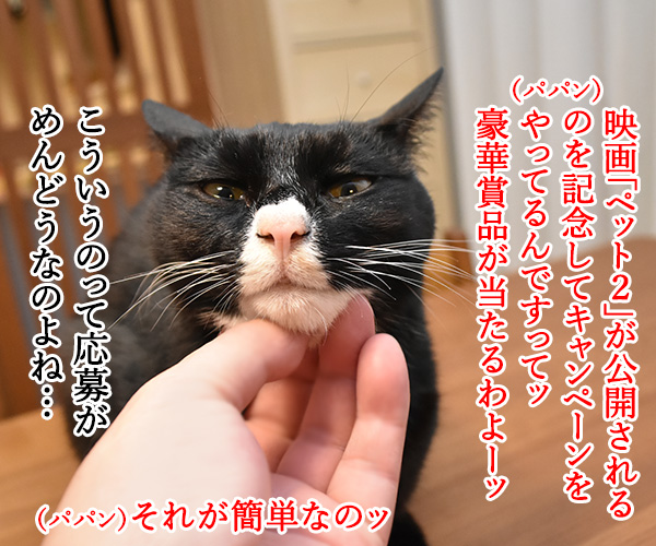 映画「ペット２」の公開記念キャンペーンなんですってッ