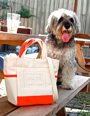 映画「ペット２」の公開記念キャンペーンなんですってッ　ねこの写真で４コマ漫画　５コマ目ッ