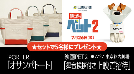 映画「ペット２」の公開記念キャンペーンなんですってッ　ねこの写真で４コマ漫画　６コマ目ッ