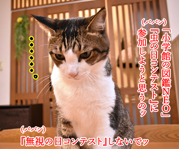 『虫の日コンテスト』に参加しようと思うのッ