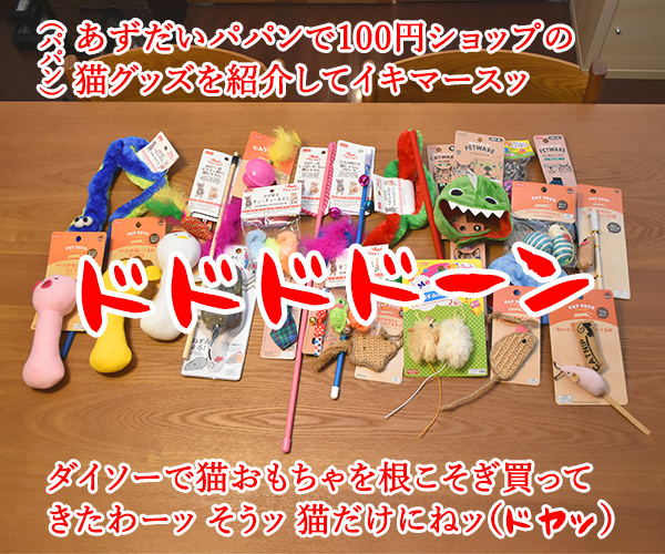100円ショップの猫グッズを紹介するわよッ 第一回「PETWARE ペットのかぶりもの」