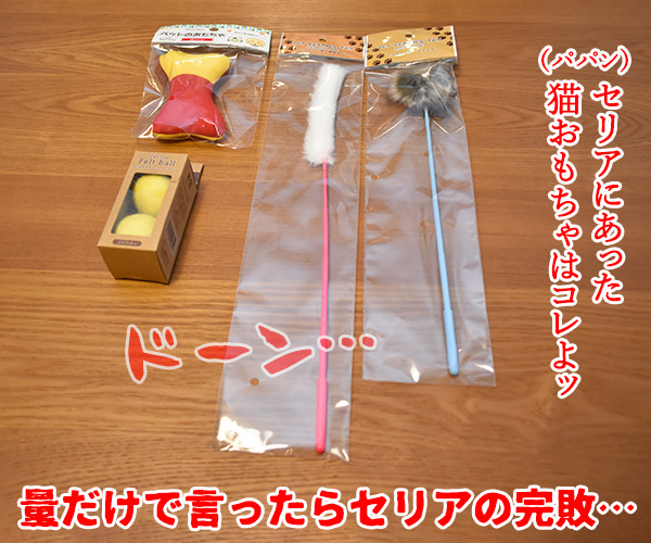 100円ショップの猫グッズを紹介するわよッ 第一回「PETWARE ペットのかぶりもの」 ねこの写真で4コマ漫画 3コマ目ッ