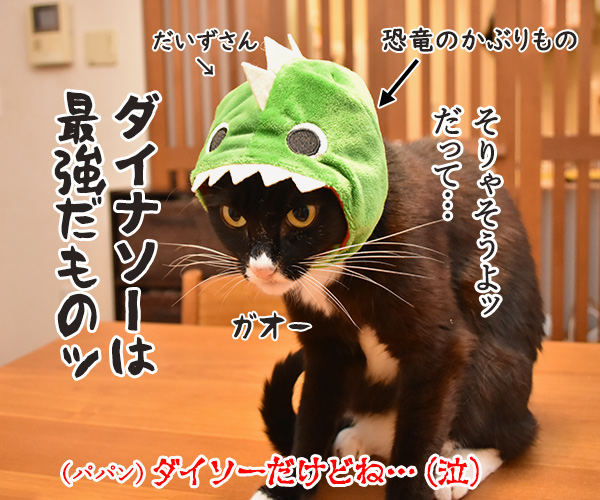 100円ショップの猫グッズを紹介するわよッ 第一回「PETWARE ペットのかぶりもの」 ねこの写真で4コマ漫画 4コマ目ッ