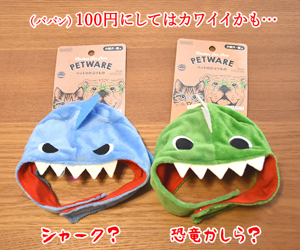 100円ショップの猫グッズを紹介するわよッ ねこの写真で4コマ漫画 5コマ目ッ