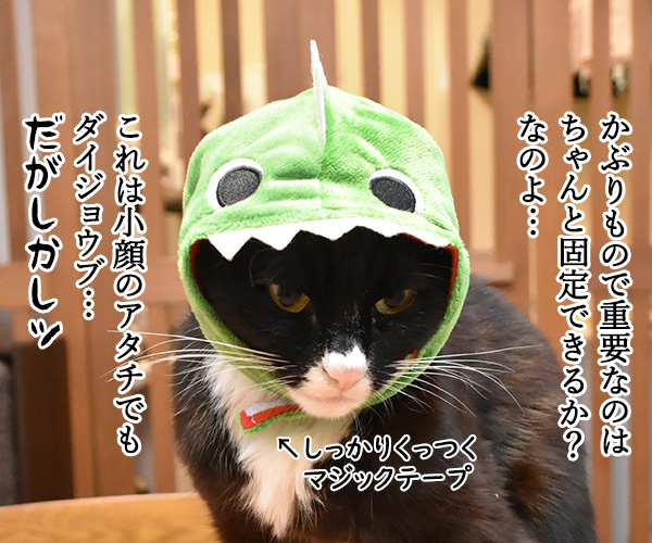 100円ショップの猫グッズを紹介するわよッ ねこの写真で4コマ漫画 6コマ目ッ