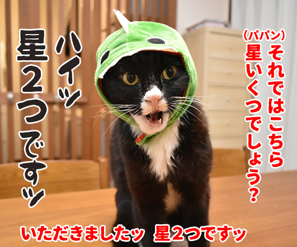 100円ショップの猫グッズを紹介するわよッ ねこの写真で4コマ漫画 8コマ目ッ