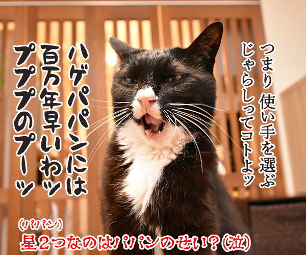 100円ショップの猫グッズを紹介するわよッ 第二回「ふわふわヘビじゃらし」　ねこの写真で４コマ漫画　４コマ目ッ